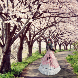 lady_ciel___spring_time_by_temesasu-d6363di